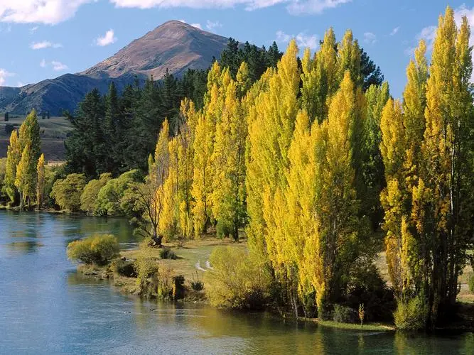 节能自动化智能